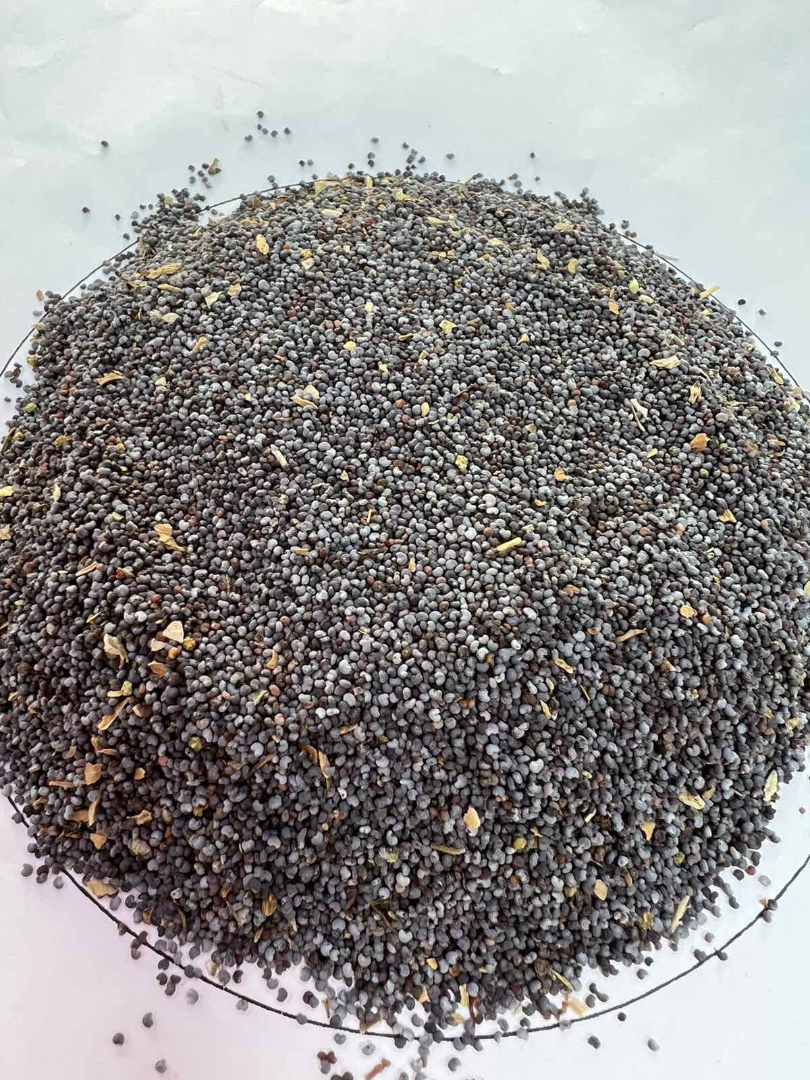 Bulgarian origin Blue poppy seeds, purity 98%
