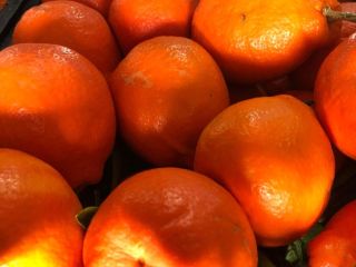 The best and sweetest oranges...all fresh from the orchard.