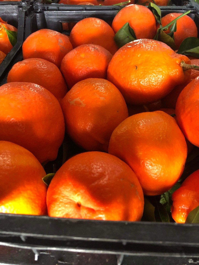 The best and sweetest oranges...all fresh from the orchard