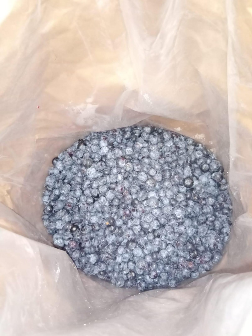 The blueberry manufacturer company offers berries frozen in Kraft bags of 25 kg