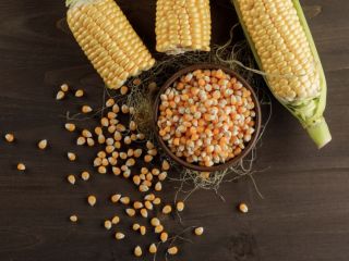 Hello, We are a producer of cereals from Ukraine.