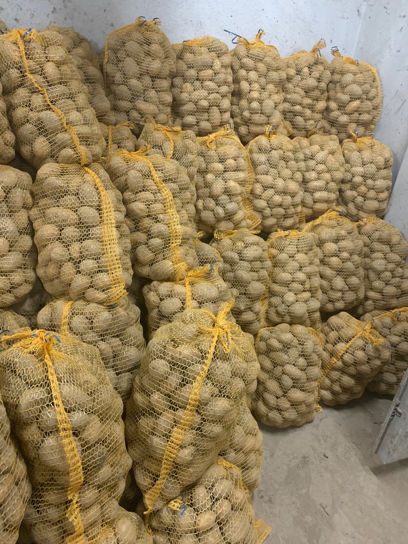I will sell potatoes Soraya 50+, a nice healthy commercial product in 15 kg bags, the possibility of preparing more on pallets