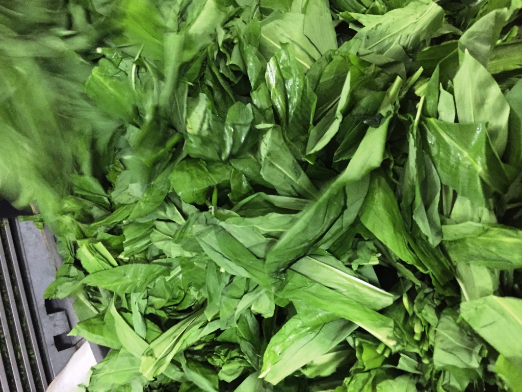 New season for wild garlic is about to start and we are looking for buyers