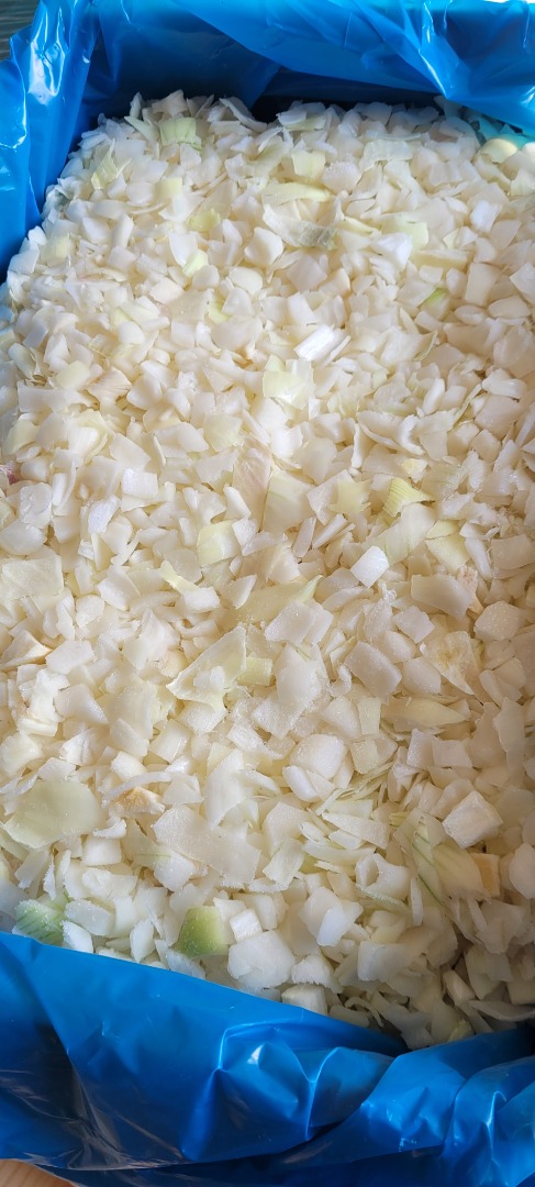 I will sell frozen onion cubes 10x10 in a 10kg box - Egypt