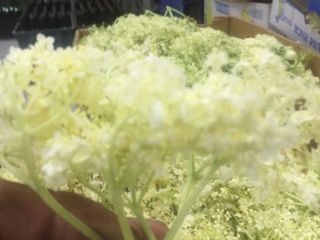 We are looking for buyers of Dried Elderberry flowers