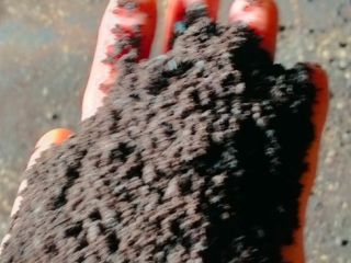 I will sell sunflower meal, sunflower, soy and rapeseed