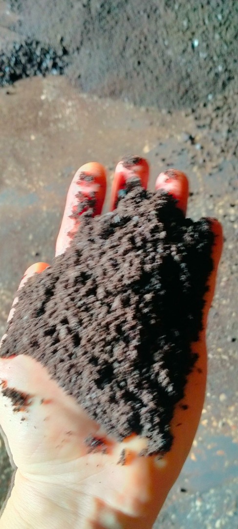 I will sell sunflower meal, sunflower, soy and rapeseed cake with delivery to the indicated location