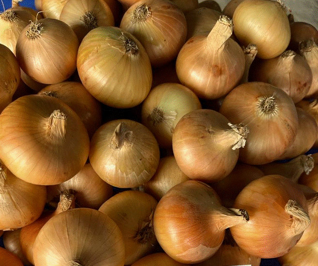 I will sell onions from Egypt. Caliber 5+ 15kg
