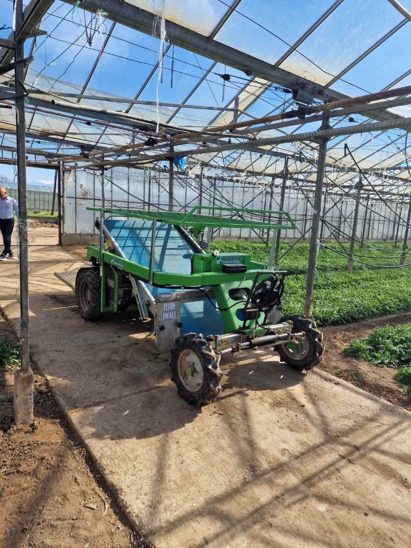 Baby Arugula Variety: Marldi Origin: Macedonia, Gradsko Price: 2.5 Eur/kg but when agreeing on the whole amount we have the option of a lower price