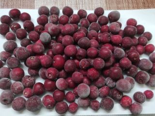 Quick-frozen pitted cherries (IQF), in boxes of 10 kg.