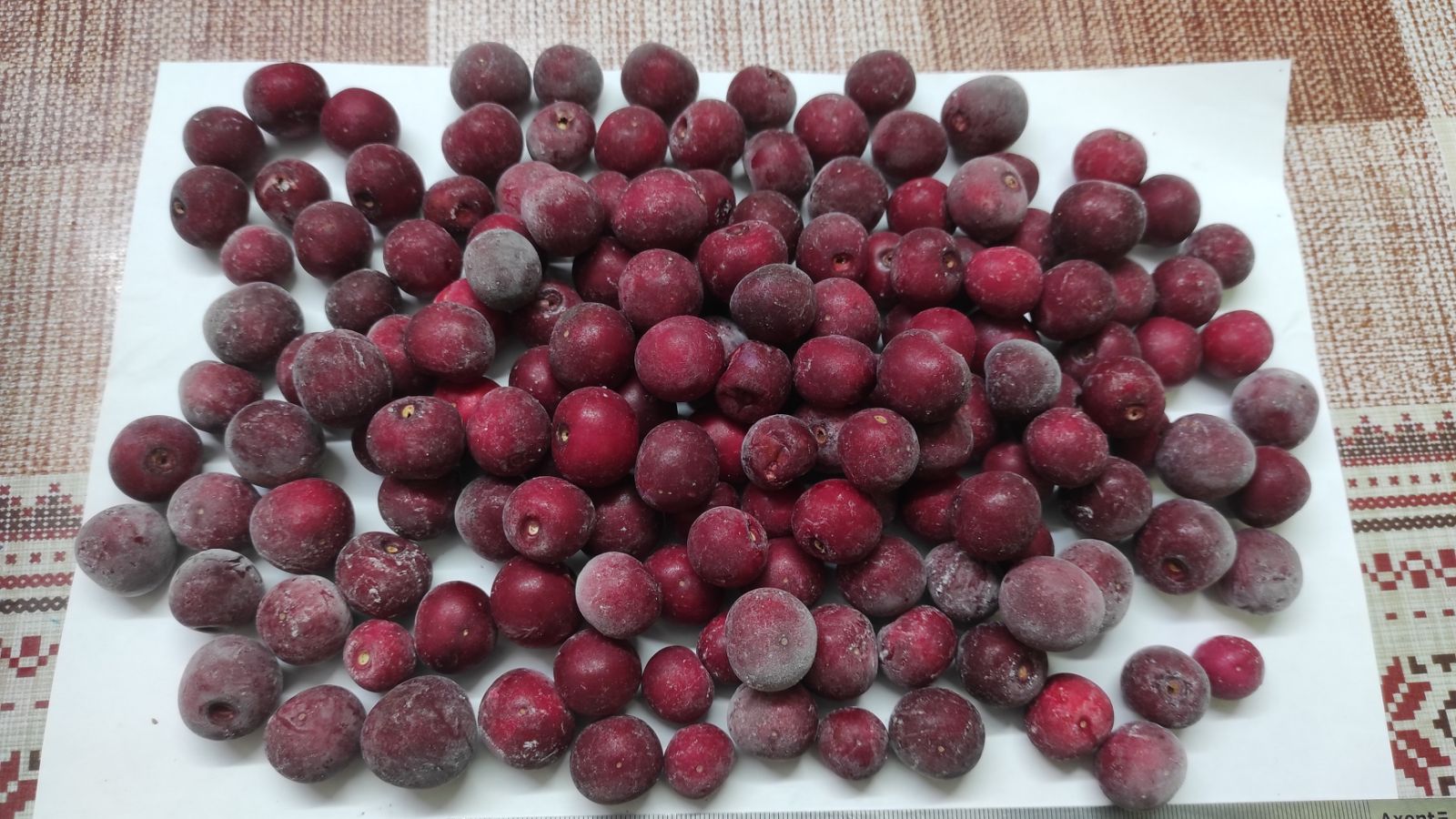 Quick-frozen pitted cherries (IQF), in boxes of 10 kg