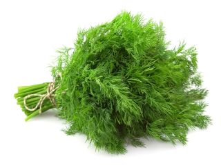 Welcome, we are the company «KGS GROUP», which imports
