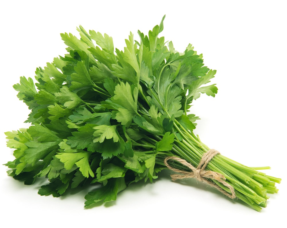 Welcome, we are the company «KGS GROUP», which imports food products from Uzbekistan and exports them to European countries