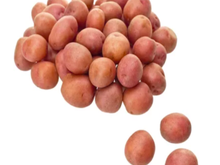 Buy FRESH and Grade “A” Red & Yellow Irish