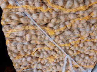 I will sell TOSCA edible potato. 5+ yellow potato,