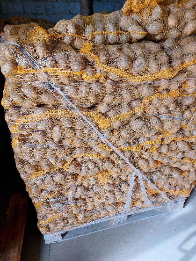 I will sell TOSCA edible potato