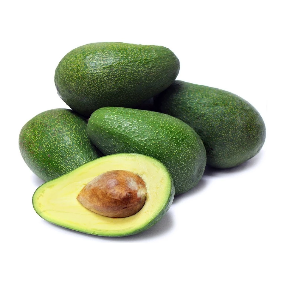 Avocado fruit has greenish or yellowish flesh with a buttery consistency and a rich, nutty flavor