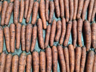 I'm selling dirty carrots. 20kg bag. Fresh, nice product.