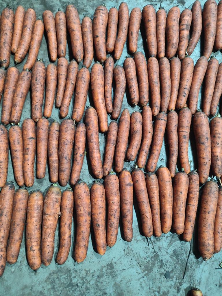 I'm selling dirty carrots