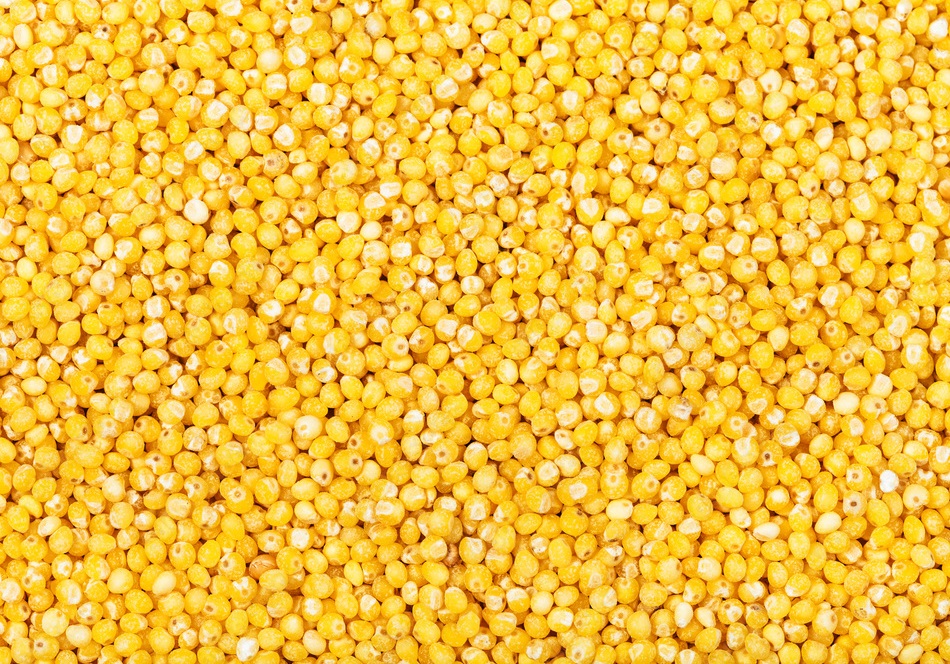 We offer cereals of our own production