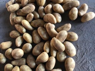 Our company works with much varities of fruits and