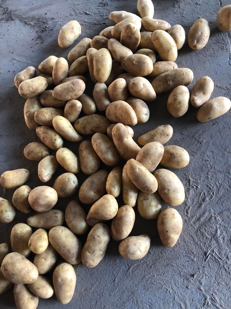 Our company works with much varities of fruits and vegetables