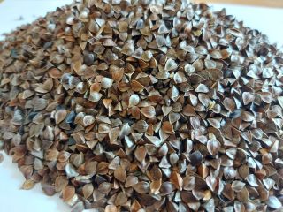 Buckwheat seeds with an organic certificate in the amount
