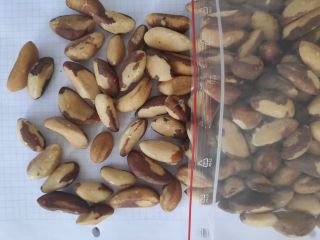 Brazil nuts medium size and broken. packed in big
