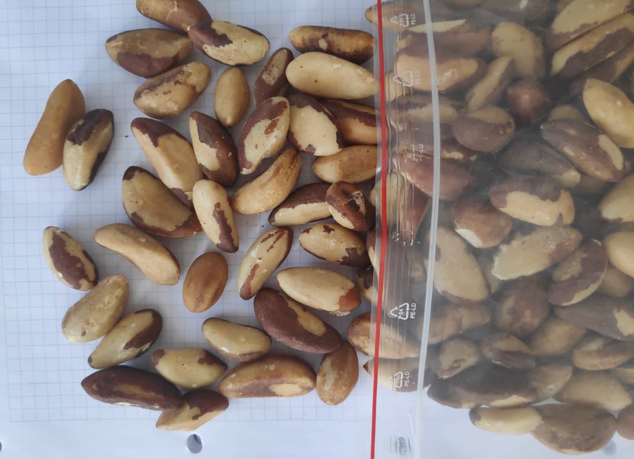 Brazil nuts medium size and broken