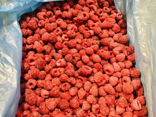 We offer frozen raspberry fruits of the highest grade,