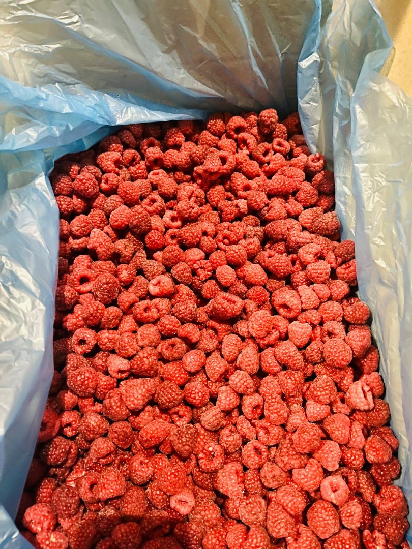 We offer frozen raspberry fruits of the highest grade, the volume and quality are guaranteed! We also have 60/40, 50/50, scrap, semolina and other fruits