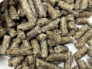 Marculesti Combi SA offers grains for export: • wheat
