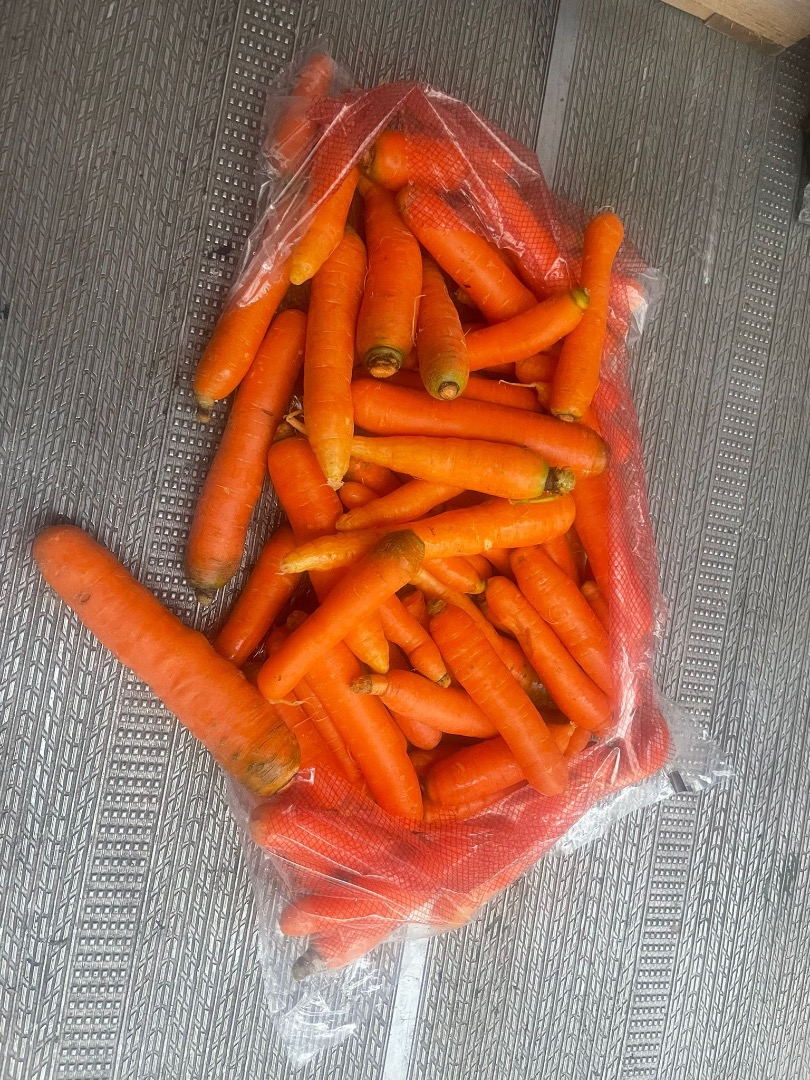 Hello, I will sell young carrots in plastic bags for the exchange or processing, 24 pallets