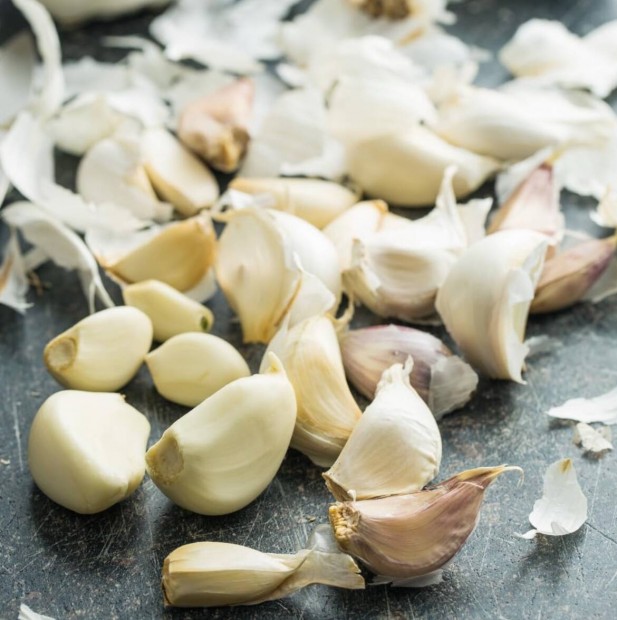 Premium garlic for sale