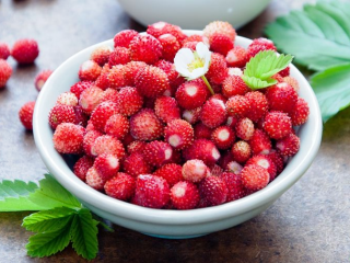 We are picking wild strawberries in the mountains of