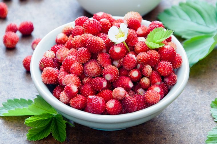 We are picking wild strawberries in the mountains of Bosnia every year and we are looking for buyers for this coming season