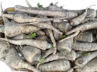 I will sell parsley freshly dug straight from the