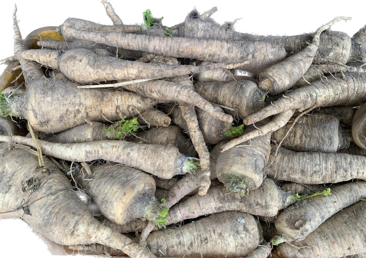 I will sell parsley freshly dug straight from the field