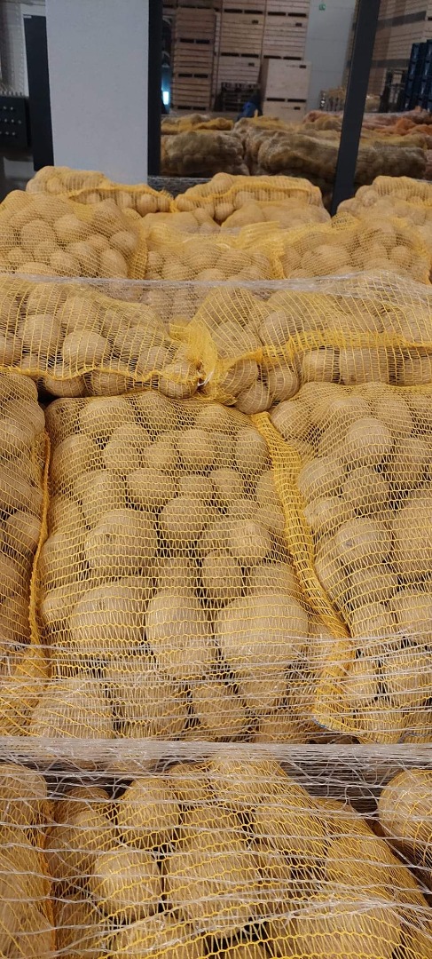 I will sell yellow potatoes caliber 5+ With FITO tests 10kg bag Whatsapp