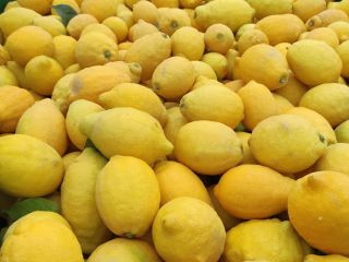 Verna variety lemon, excellent quality.