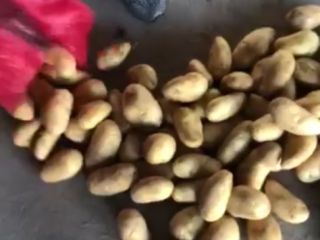Oue company Minoas imports Potatoes and onions from Egypt.