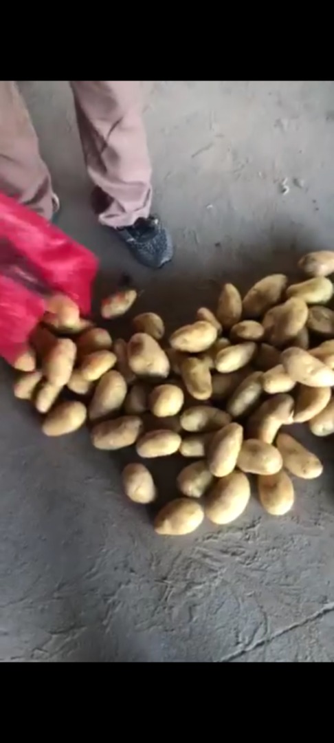 Oue company Minoas imports Potatoes and onions from Egypt