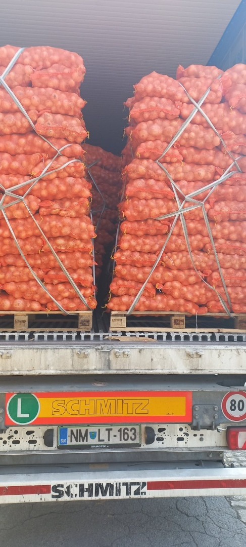 White onion in bags of 15 kg