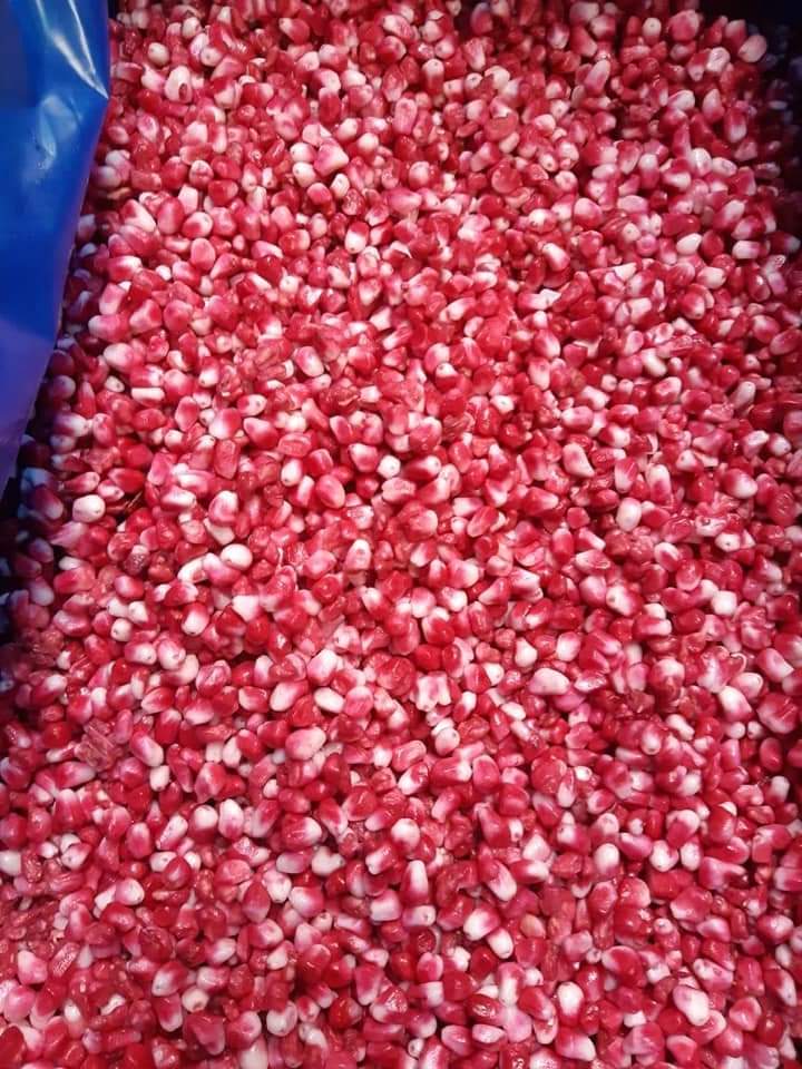 #mrozonatruskawka #mrowanemango #mrożeniegranat We work directly with many pioneer companies in Egypt exporting frozen fruit