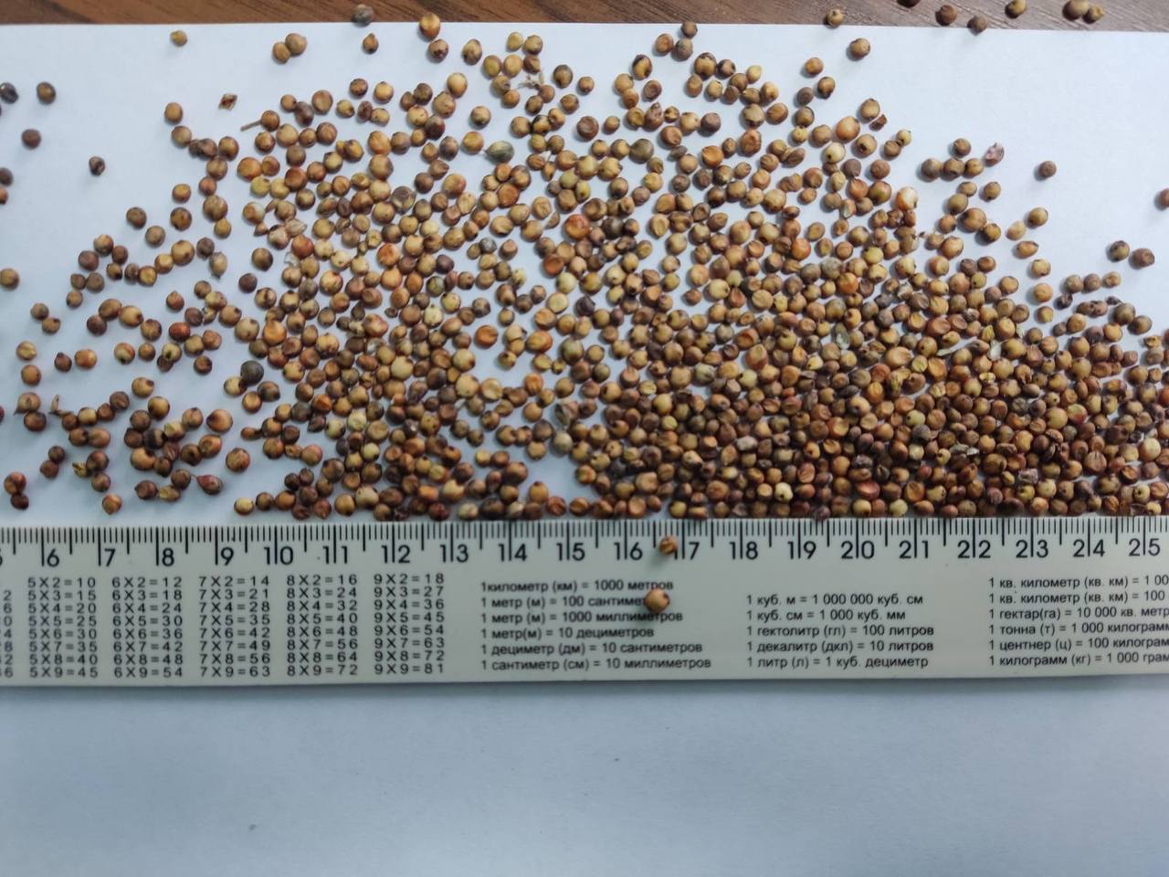 Hello.I offer €435 red millet 350t €375 for yellow millet 200t €320 for red sorghum 500t Delivery is discussed throughout Europe