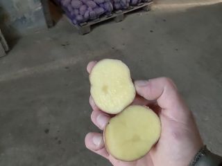 I will sell red bellarosa potatoes, cal.45+ Healthy potatoes
