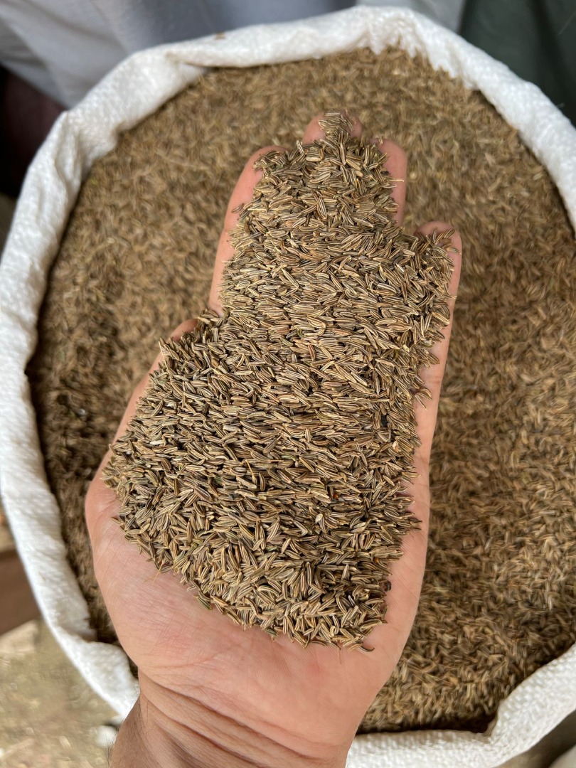 We offer cumin seeds