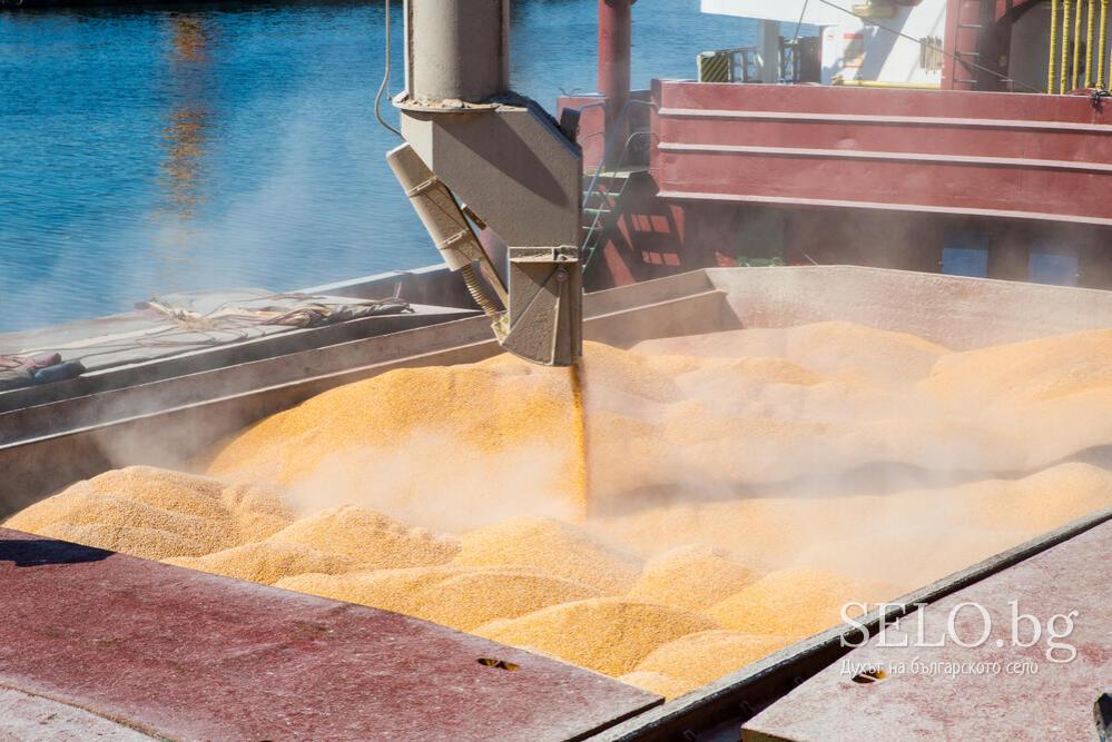 I offer corn harvest 2022, origin Ukraine on terms CIF Thessaloniki, Athens