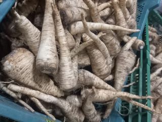 I will sell parsley, freshly dug. Product in commercial