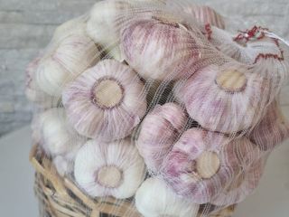 I will sell Egyptian garlic with 20 cm haulm